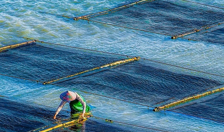 What should be done if the underwater aquaculture camera fails during use?