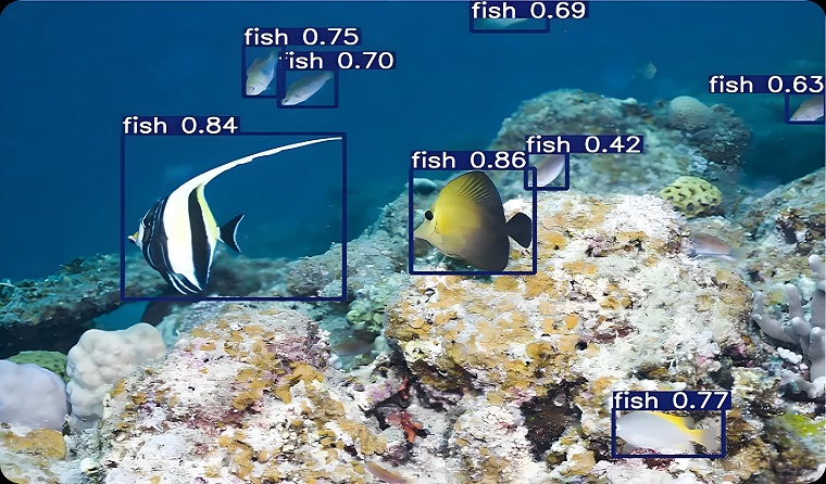 Precautions for the Application of Underwater Aquaculture Cameras