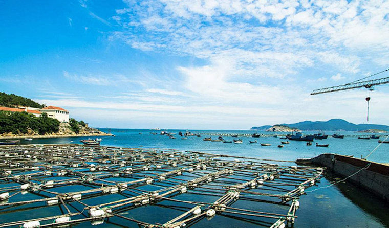 Working Principle of Underwater Aquaculture Cameras