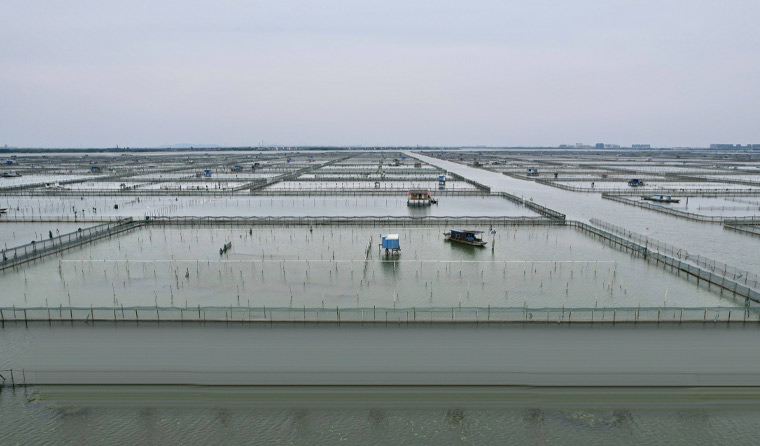 The Role of Underwater Aquaculture Cameras in the Growth of Fish, Shrimp and Crab