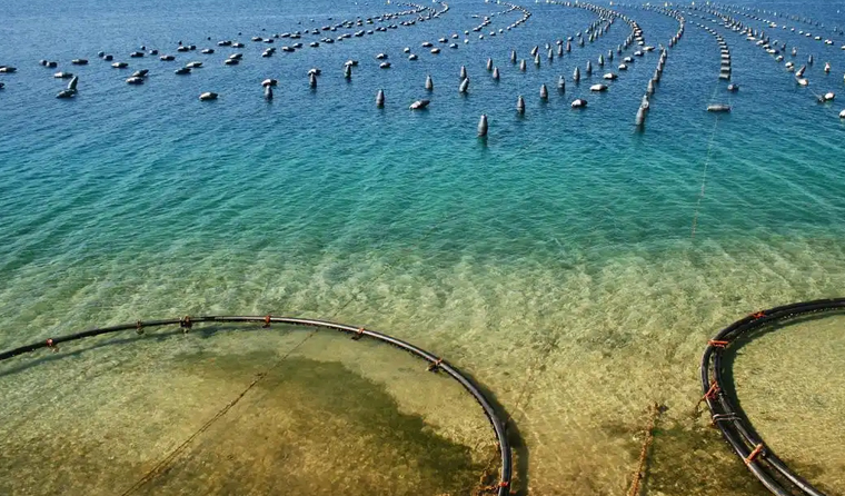 What are the core advantages of underwater aquaculture cameras?