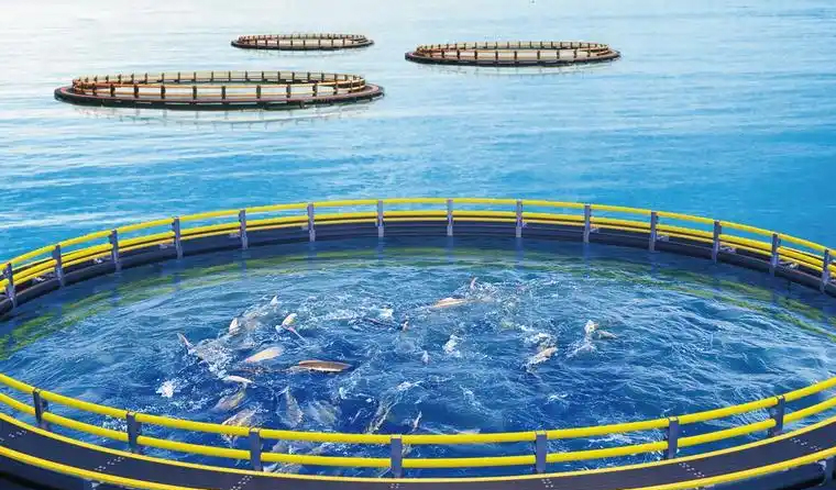 How to Choose an Underwater Aquaculture Camera