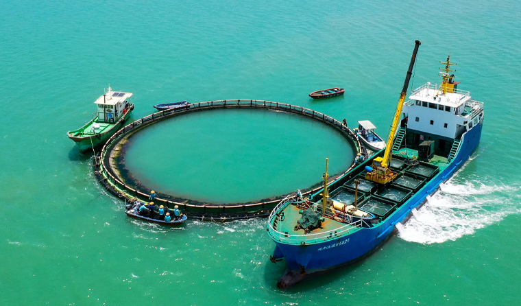 Cleaning Methods for Underwater Aquaculture Cameras