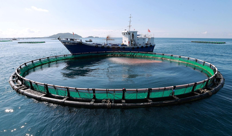 Key Points for Inspection and Protection of Underwater Aquaculture Cameras
