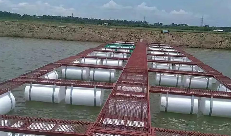 Advantages of Underwater Aquaculture Cameras in Freshwater Aquaculture