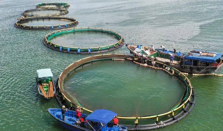 Is an Underwater Aquaculture Camera Useful for Seabed Aquaculture?