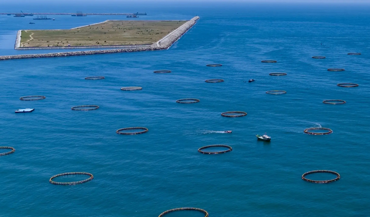 Solving the Problem of Lack of Safety Supervision and Ensuring Controllable Aquaculture Process