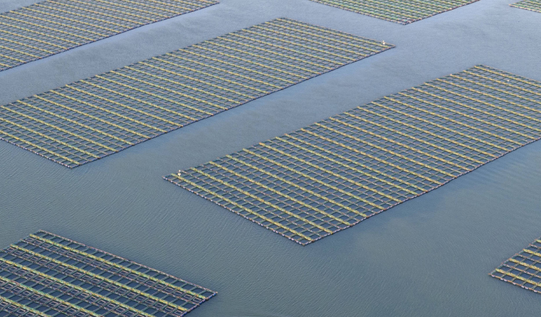 Main Risks of Aquaculture and the Preventive Role of Underwater Aquaculture Cameras
