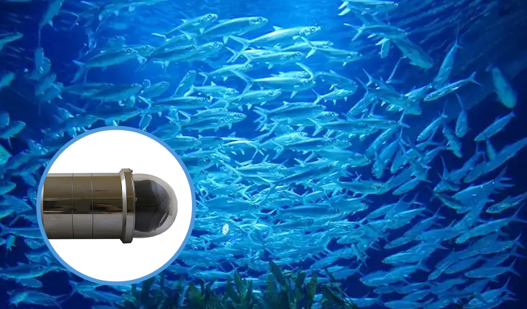 How to Choose Underwater HD Cameras for Aquaculture