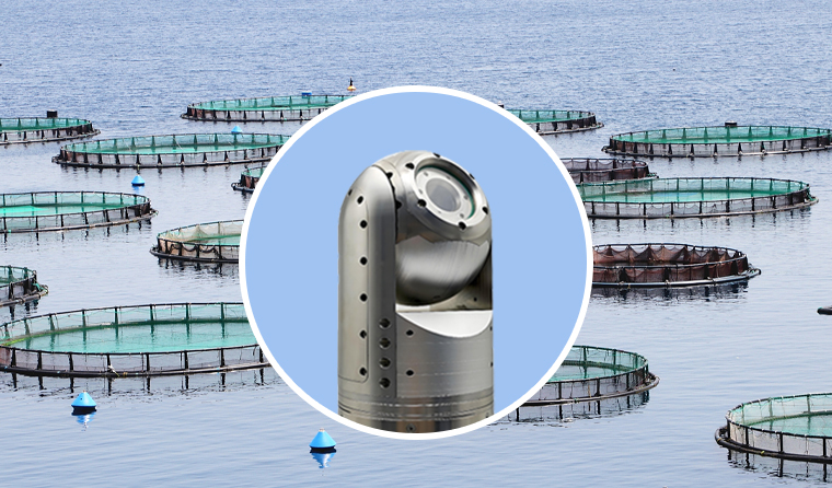 Underwater HD 1080P Camera: A Practical Underwater Monitoring Tool with Both Cost-Effectiveness and Utility