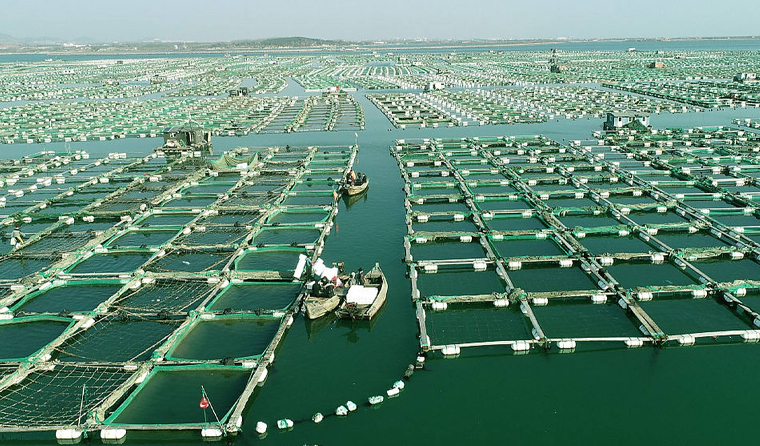 How to Install Underwater Aquaculture Cameras