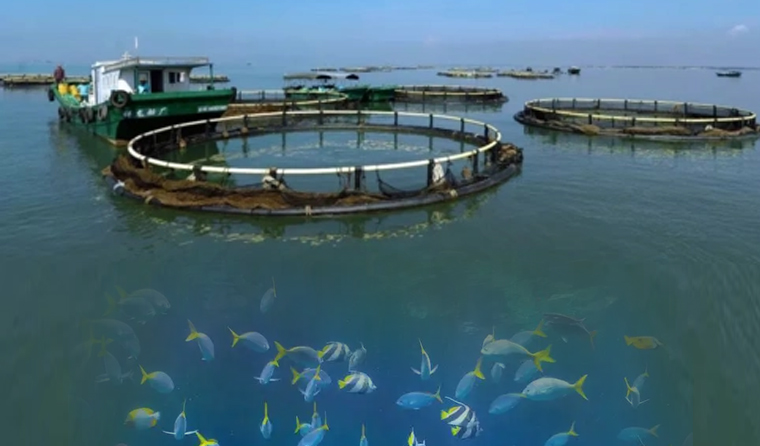 How to Identify the Quality of Underwater Aquaculture Cameras