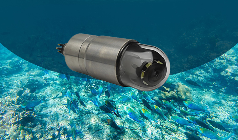 How Do Underwater Aquaculture Cameras Work?