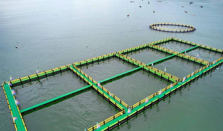 Core Functions of Underwater Cameras in Deep-Sea Cage Aquaculture