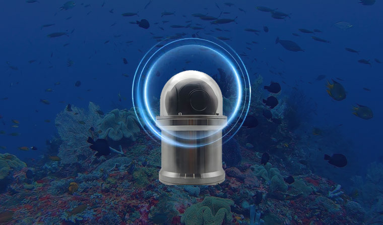 Future Aquaculture: How Underwater Aquaculture Cameras Help Achieve 