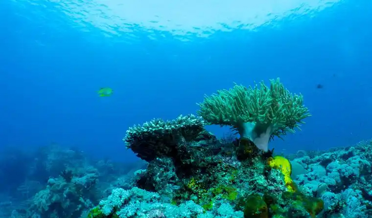 How to Test Whether the IP67 and WDR of Underwater Aquaculture Cameras Meet Standards
