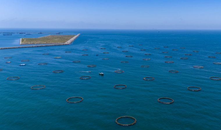 How to Evaluate the Battery Life of Underwater Aquaculture Cameras