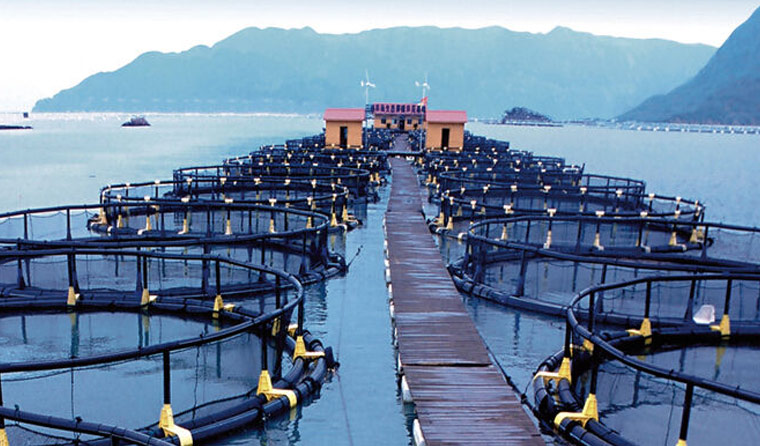 How Much Storage Capacity Is Suitable for Underwater Aquaculture Cameras?