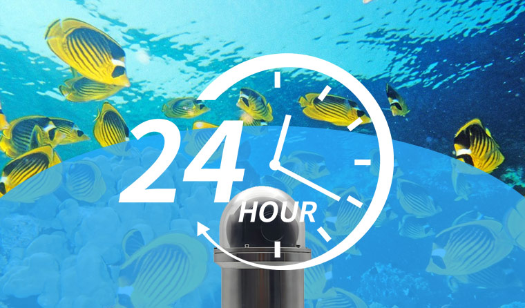 Achieving 24-Hour Stable Monitoring: Core Requirements for Cameras