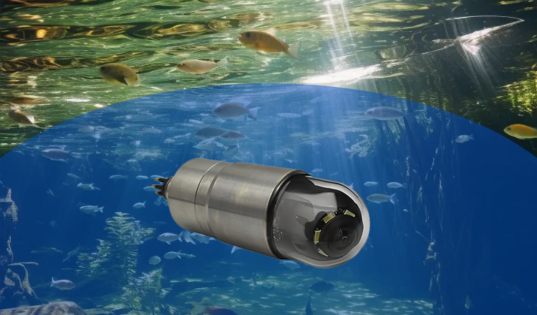Applicable Depth of Underwater Breeding Cameras
