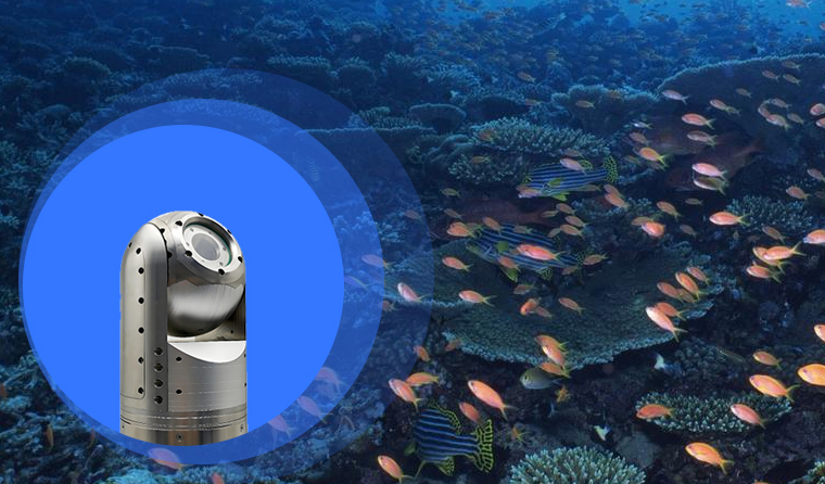 What Kind of Underwater Breeding Camera Is Reliable to Choose?