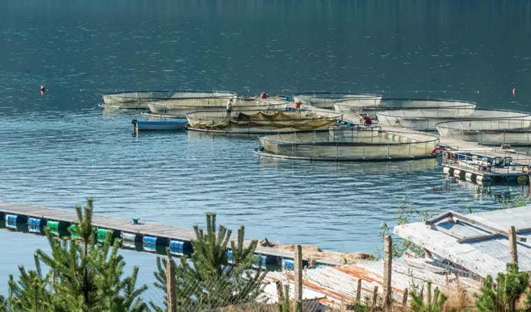 Do underwater aquaculture cameras have requirements for water pressure?