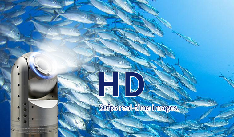 HD Vision + Real-Time Connectivity: Core Technological Innovations and Applications of Underwater Aquaculture Cameras