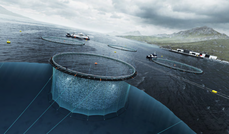 How industrial cameras work in the deep sea